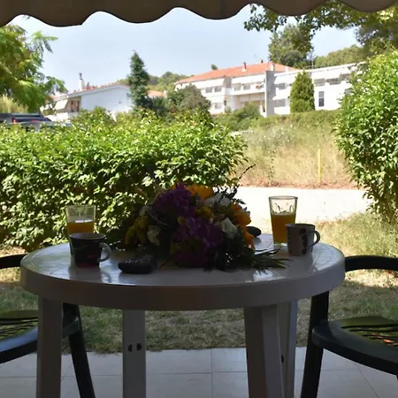 Blue Dream Poseidi بوسيدي